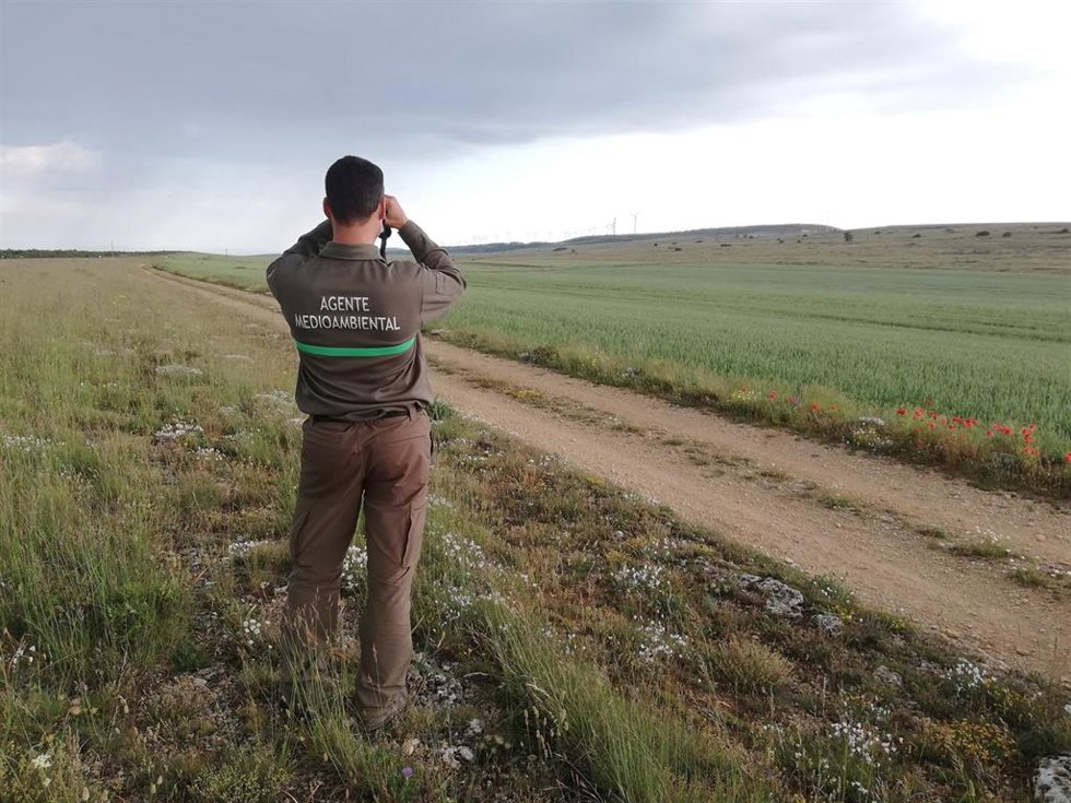 Archivo - Agente Medioambiental.