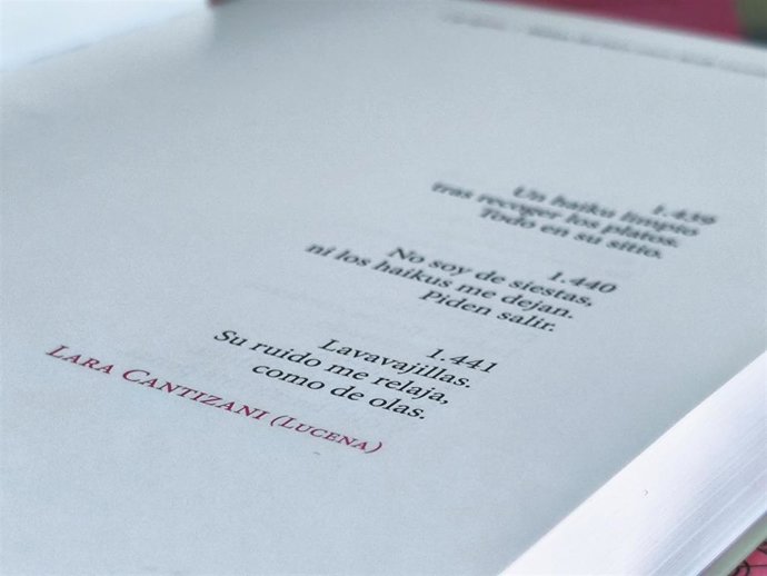 Archivo - Convocado el VI Concurso Nacional de Poesía 'Lara Cantizani'.