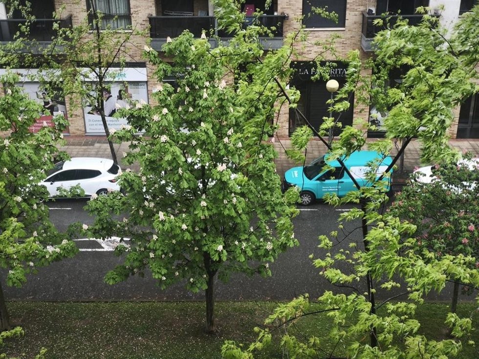Lluvia fuerte de este sábado en Logroño