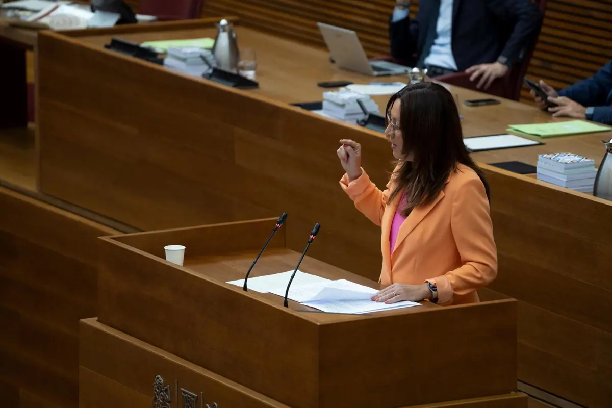 Alicia Andújar, portavoz de Justicia del PSPV-PSOE