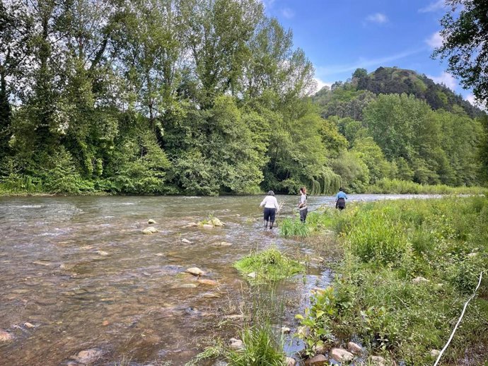 Casi un millar de voluntarios inspeccionarán en mayo los ríos de Cantabria