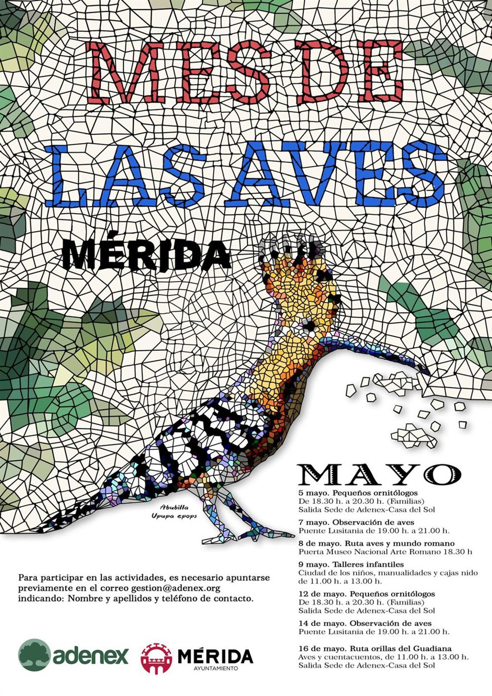 Programa de la XII edición del Mes de las Aves de Mérida, que se celebra de 5 al 16 de mayo de 2026 en la capital extremeña.