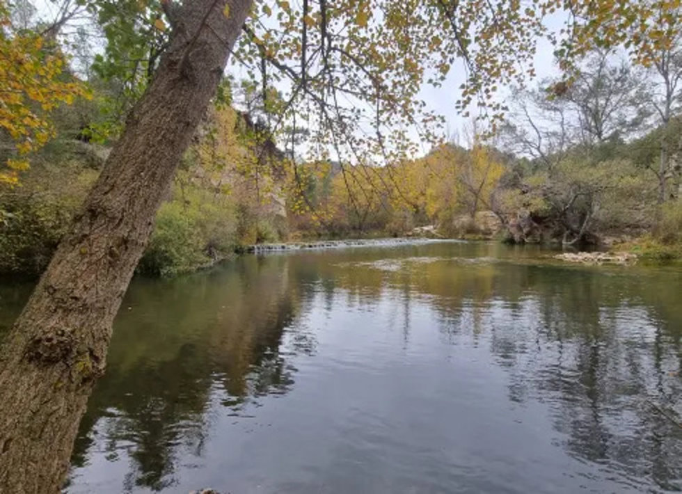 A partir de este martes se podrán presentar solicitudes al Premio Regional de Medio Ambiente de Castilla-La Mancha.