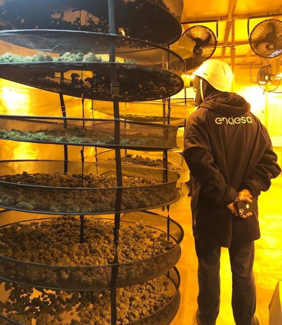 Un trabajador de Endesa