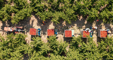 EpAgro - Agricultura