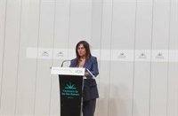 Cañadas (Vox) defiende que el vicepresidente del Consell de Mallorca no hace un uso irregular de los coches oficiales