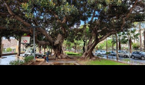 Es  Andalucía - Almería