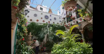 La Fiesta de los Patios de Córdoba cuenta desde este lunes con 53 espacios a concurso y once institucionales