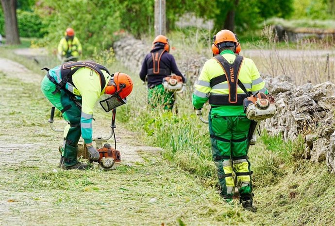 Una de las cuadrillas forestales de la Diputación.