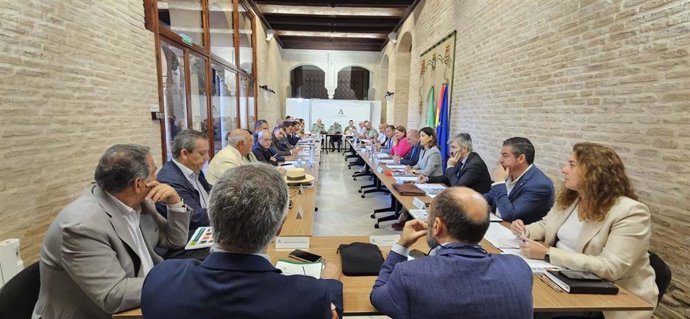 Reunión del Comité 'Caminos de Sevilla'.