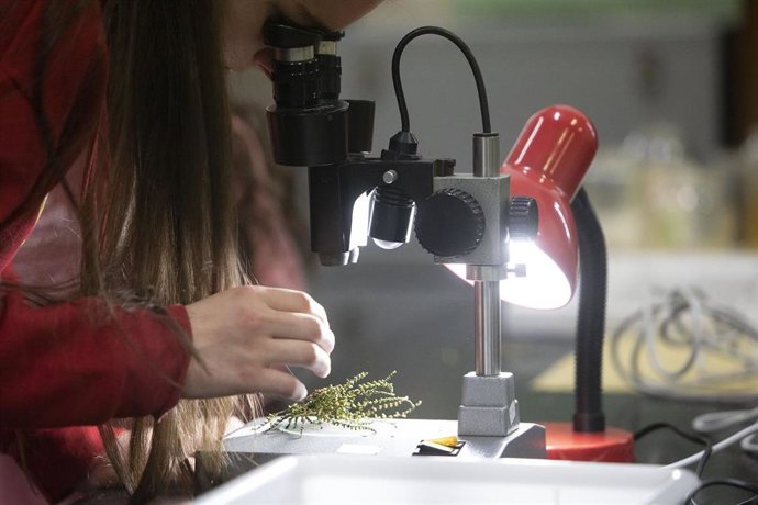 Archivo - El Bachillerato de Excelencia en Ciencias y Tecnología (STEMBach).