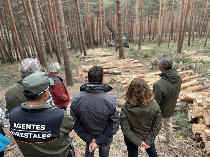 El consejero de Medio Ambiente, Agricultura e Interior de la Comunidad de Madrid, Carlos Novillo, visita en el monte de Gascones los trabajos para el aprovechamiento maderero de la región.