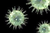 Foto: Infosalus.- Sanidad confirma que hay 14 españoles a bordo del crucero con un posible brote de hantavirus