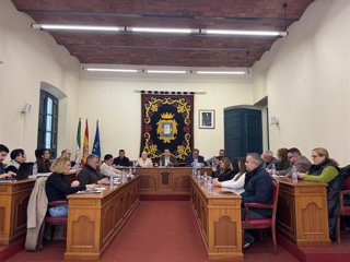 Archivo - Pleno ordinario del Ayuntamiento de Níjar (Almería).