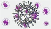 Foto: Adiós a las biopsias dolorosas: crean microrobots que administran fármacos desde dentro del cuerpo y luego desaparecen