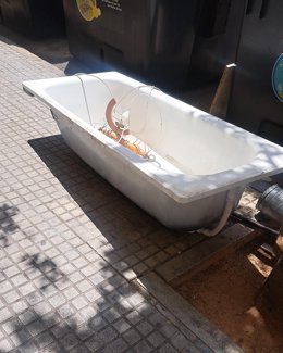 Bañera abandonada en la calle.