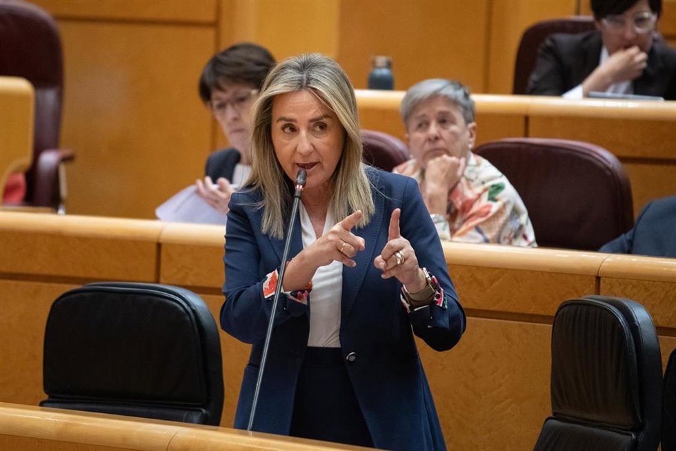 La ministra de Educación, Formación Profesional y Deportes, Milagros Tolón, interviene durante una sesión de control al Gobierno, en el Senado, a 28 de abril de 2026, en Madrid (España). 