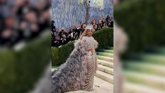 Vídeo: De Heidi Klum a Beyoncé: los 'looks' más impresionantes de la MET Gala 2026