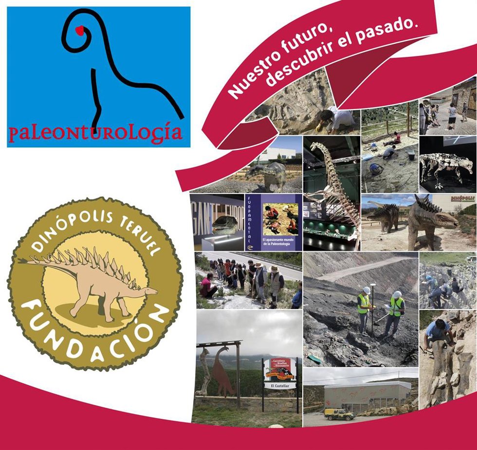 Archivo - Cartel del Premio Paleonturología 2025.