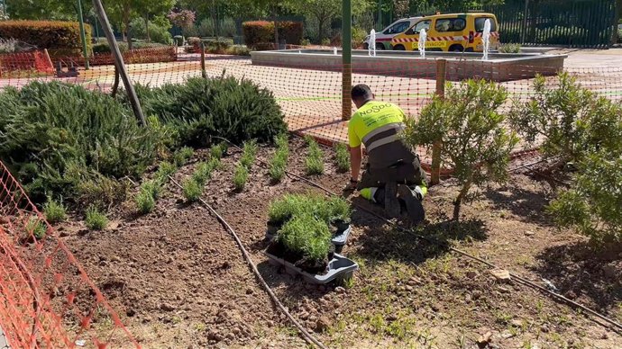 Operarios de Parques y Jardines, en labores de plantación en el distrito San Pablo-Santa Justa.