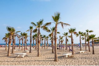 Imatge d'una platja a la Comunitat València amb bandera blava
