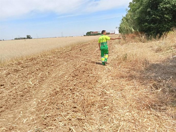 Un trabajador municipal realiza tareas de desbroce en solares municipales.