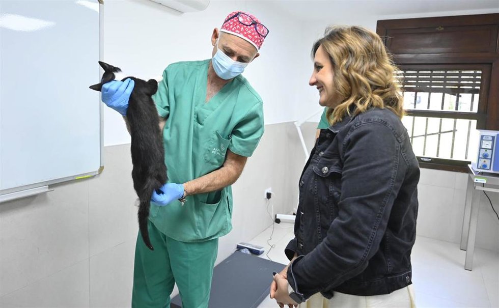 La alcaldesa de Valencia, María José Catalá, visita las instalaciones del nuevo centro municipal de esterilizacion de colonias felinas