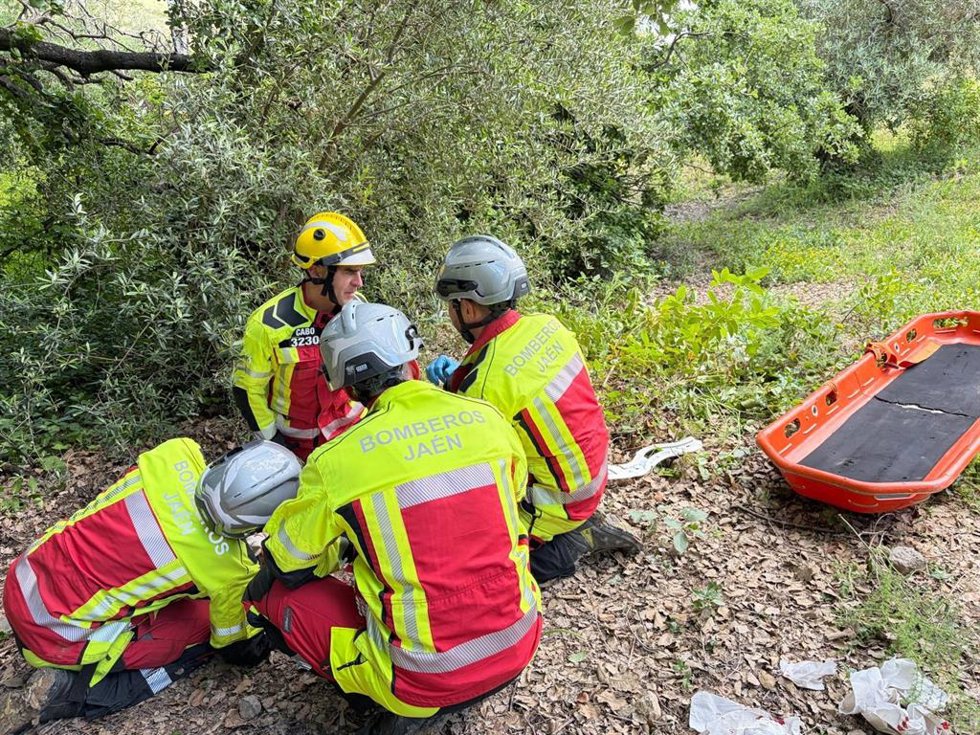 Varios bomberos participan en el rescate.