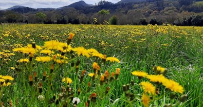 Cantabria