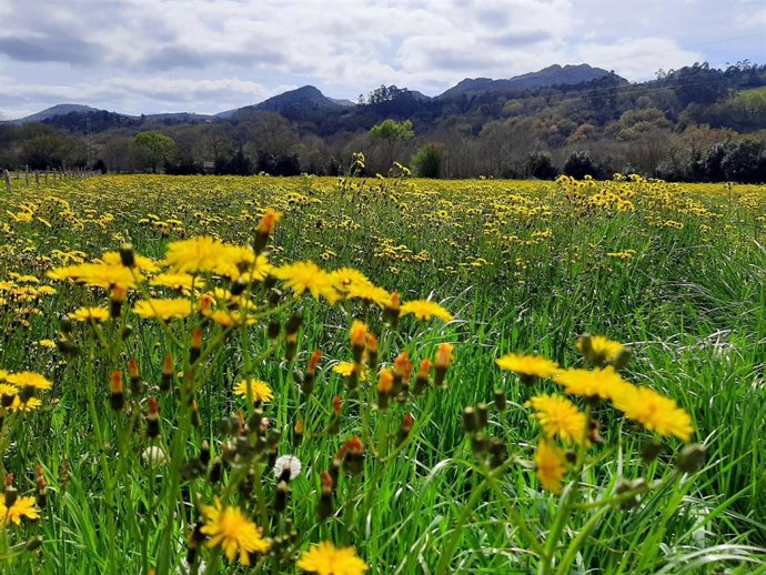 Archivo - Primavera.