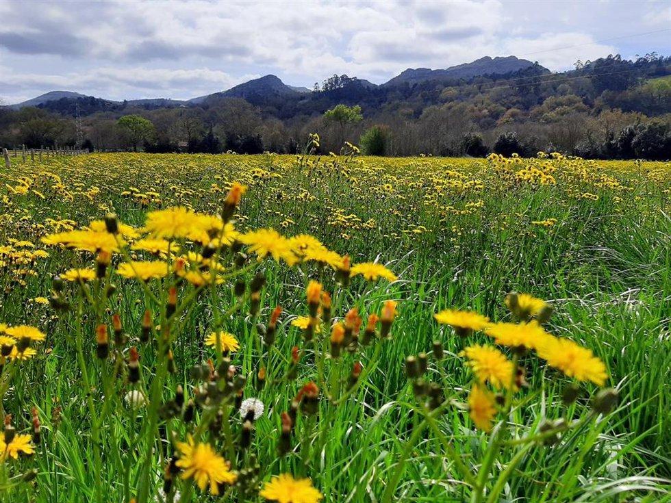 Archivo - Primavera.