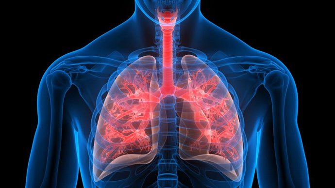 Archivo - MSD crea 'Más aire para sus latidos', acción para visibilizar la hipertensión pulmonar y mejorar su detección