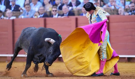 Castilla y León