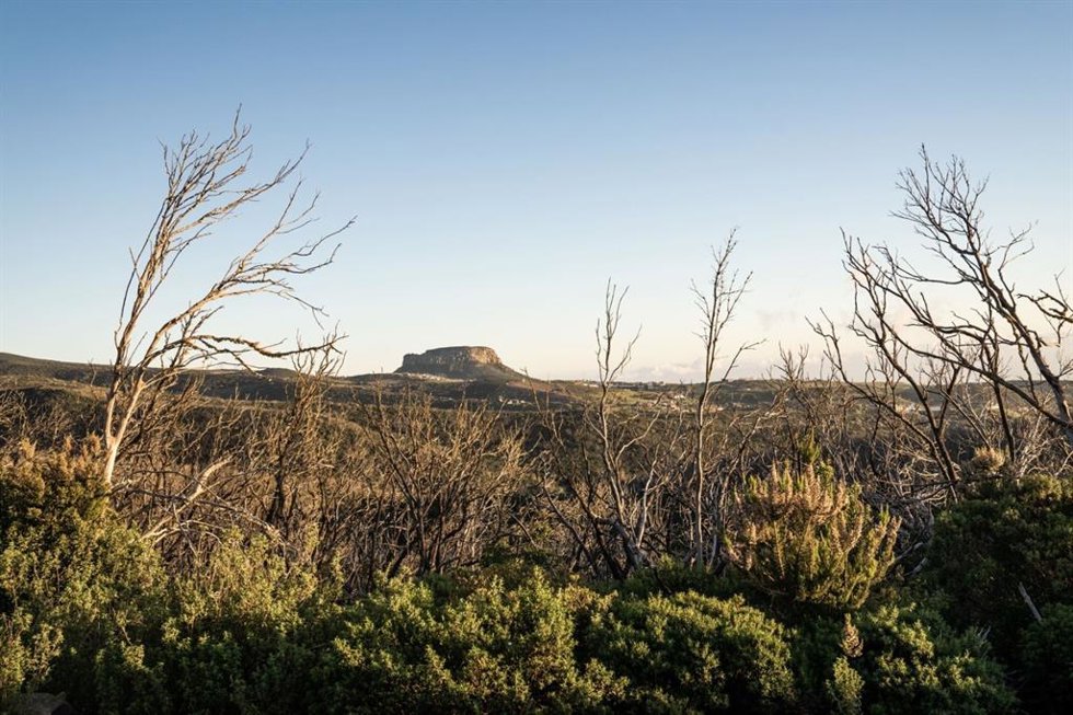 Archivo - Renaudan la realización de eventos en senderos y pistas forestales de la Gomera tras la ola de calor en Canarias
