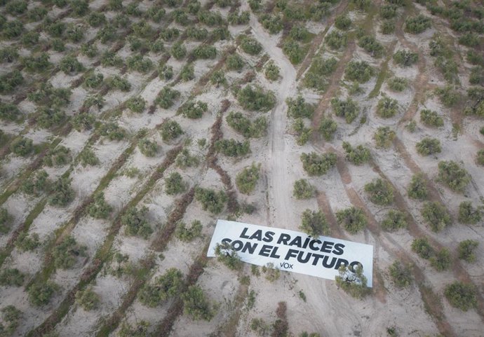 Imagen de la lona desplegada entre olivares