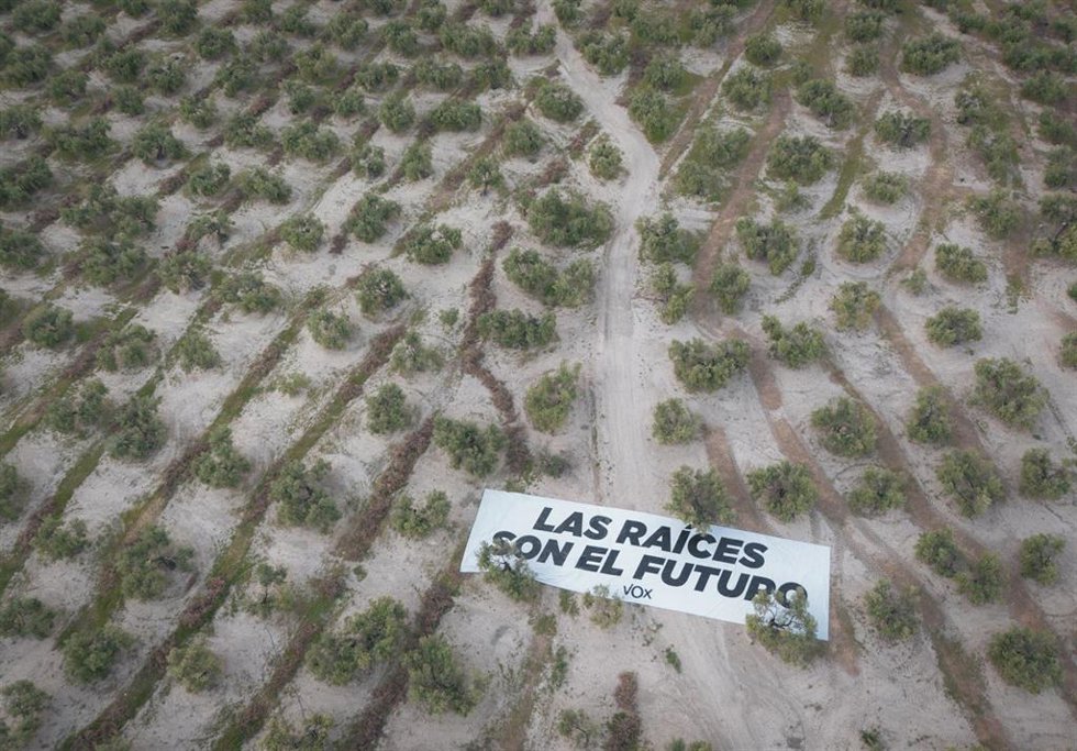Imagen de la lona desplegada entre olivares