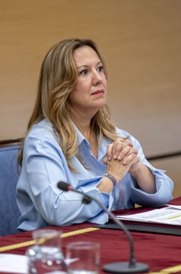 La presidenta del cabildo de Tenerife, Rosa Dávila