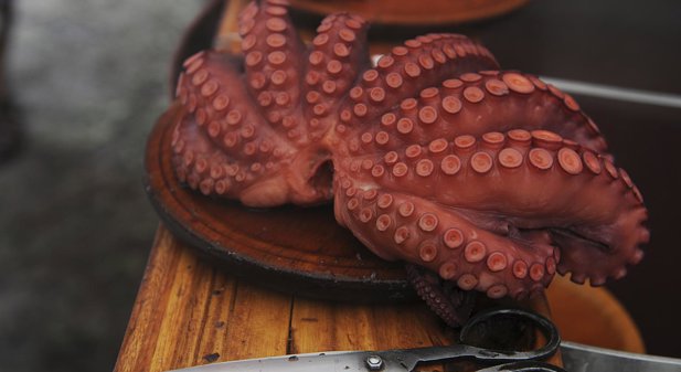 Pesca Galicia