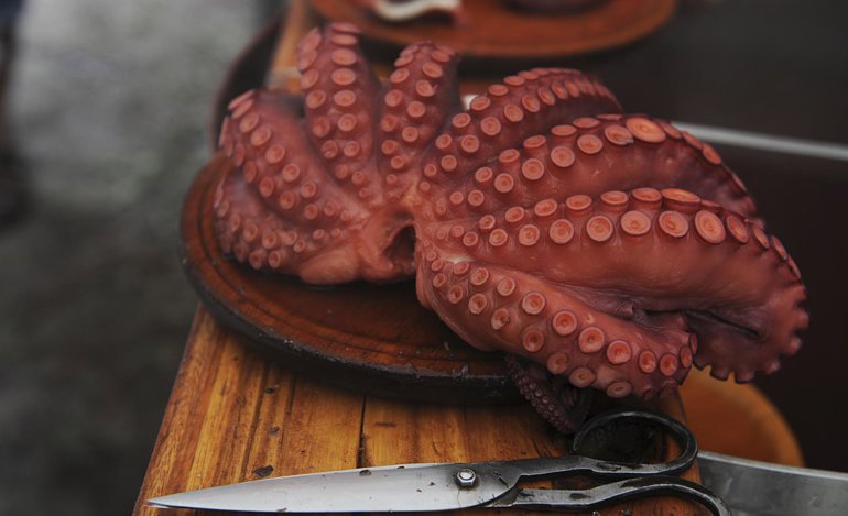 Pesca Galicia