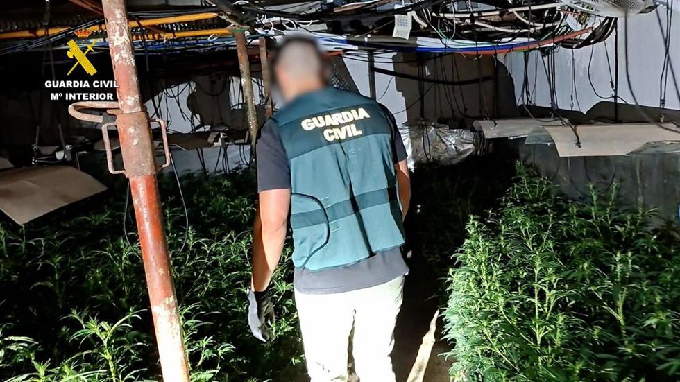 La Guardia Civil desmantela dos plantaciones de marihuana