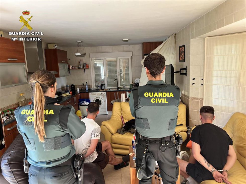 Guardia Civil decomisa 1.194 plantas de marihuana de una casa de Uceda (Guadalajara) y detiene a dos varones.