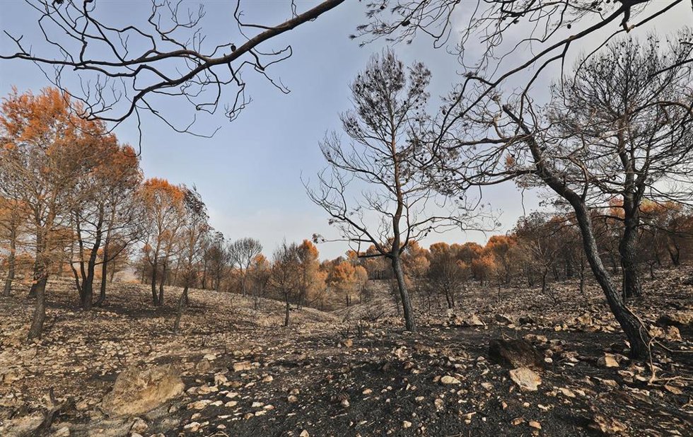 Archivo - La Diputación subraya que aumenta hasta seis millones la inversión para prevenir incendios forestales