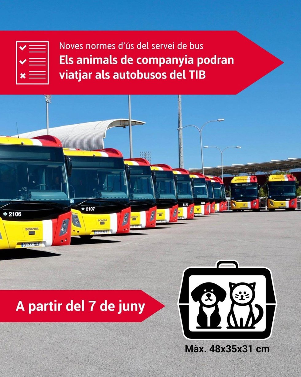 Animales de compañía podrán viajar en los autobuses del TIB