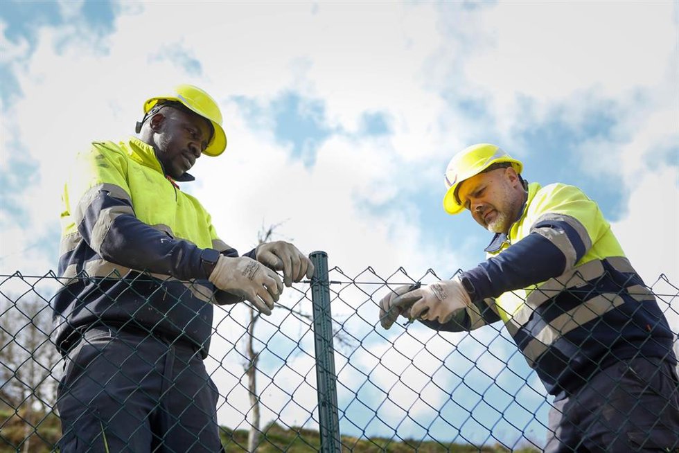 Archivo - El trabajador senegalés Assane Camara (i) durante su jornada laboral, a 27 de febrero de 2025, en Cervantes, Lugo, Galicia (España). Assane Camara, sengalés de nacimiento, llegó el pasado mes de agosto al centro de migrantes de Becerreá (Lugo).