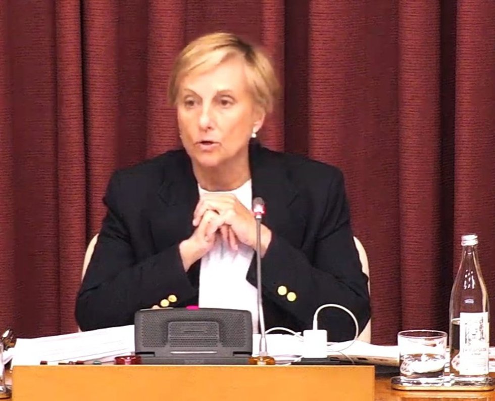 La presidenta del pleno, Leonor González, en la sesión