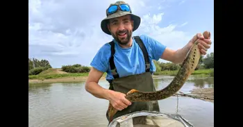 Un equipo de la Estación Biológica de Doñana captura una lamprea marina de casi un metro en la Rivera de Huelva
