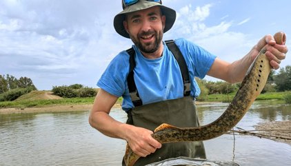 Un equipo de la Estación Biológica de Doñana captura una lamprea marina de casi un metro en la Rivera de Huelva