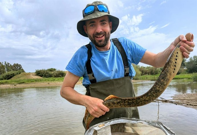 Un equipo científico de la Estación Biológica de Doñana captura una lamprea marina en la Rivera de Huelva.
