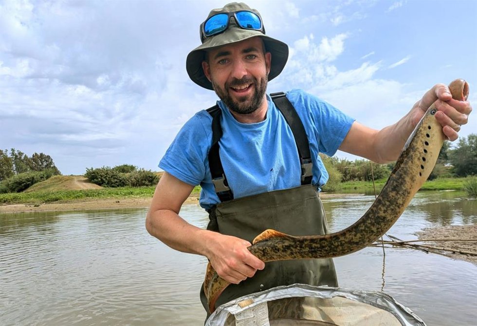 Un equipo científico de la Estación Biológica de Doñana captura una lamprea marina en la Rivera de Huelva.
