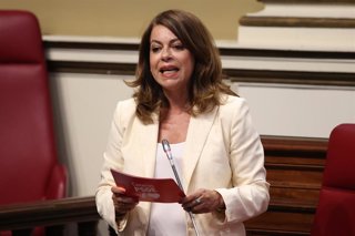 Archivo - La secretaria general del PSOE en Tenerife, Tamara Raya